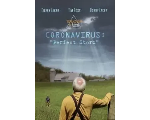Coronavirus: Perfect Storm (2020) Coronavirus: Perfect Storm (2020)