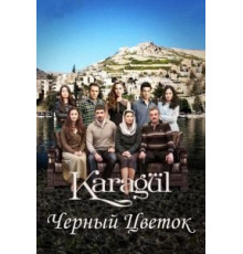 Чёрный цветок 1 сезон  (2013)