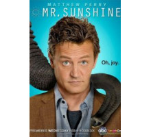 Мистер Саншайн (2011) (2011)