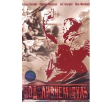 Под ливнем пуль (2006) (2006)