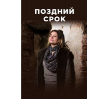 Поздний срок 1 сезон  (2019)