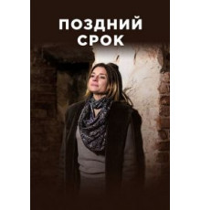 Поздний срок 1 сезон  (2019)