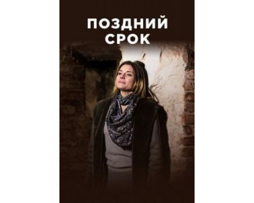 Поздний срок 1 сезон (2019) Поздний срок 1 сезон (2019)