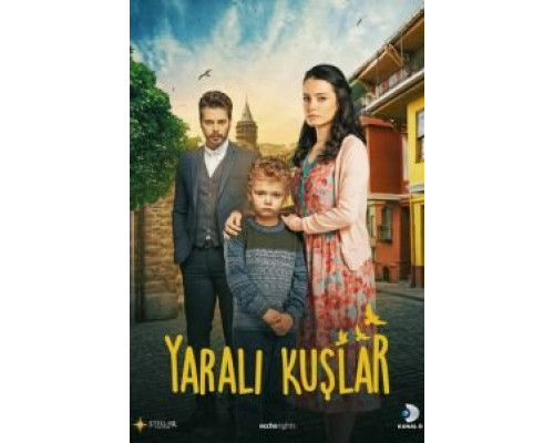 Раненые птицы 1 сезон (2019) Раненые птицы 1 сезон (2019)