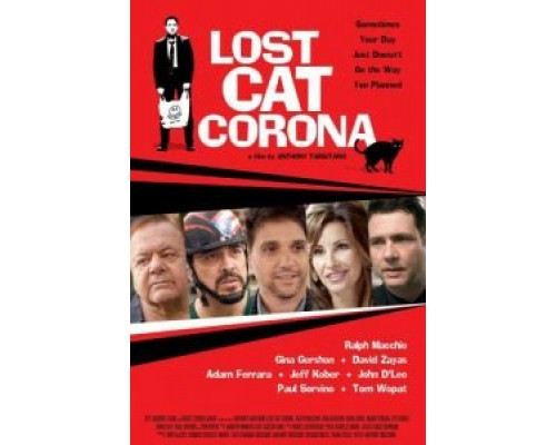 В Короне пропал кот (2017) В Короне пропал кот (2017)
